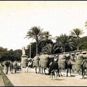 صورة نادرة لكوبري قصر النيل سنة 1905 نري الجمال ال