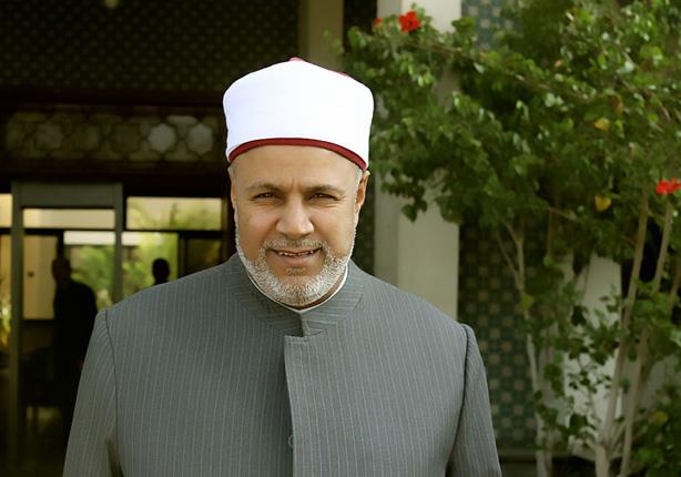 الأستاذ الدكتور محمد أبوزيد الأمير - رئيس قطاع الم