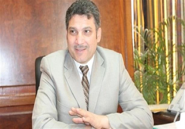 الدكتور حسام مغازي  وزير الموارد المائية والري