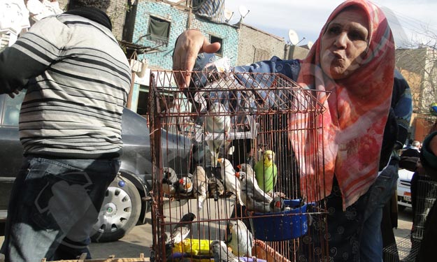 بالصور.. مصر في ''سوق الجمعة''.. ''اللي ما يشتري ي