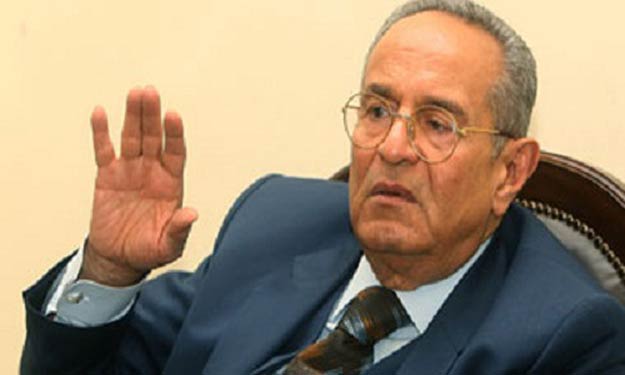 بهاء أبو شقة: مصر تحتاج إلى ''الوزير السياسي''