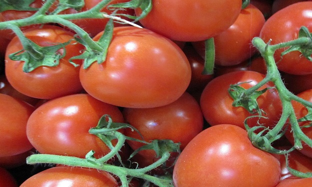طبيب مصري يكشف أسرار جديدة بشأن الطماطم 