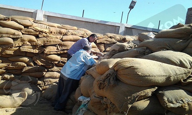 ضبط أقماح مجهولة المصدر