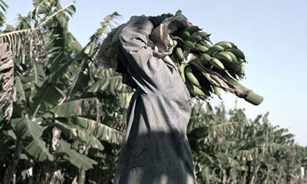 بالصور: مزارعو افريقيا المجهولون
