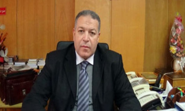 سفير مصر بنيجيريا: مشاركة مصرية قوية في اجتماع وزر