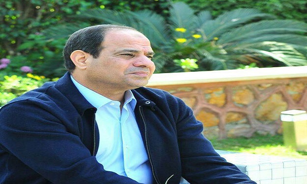 اتحاد المصريين بأوروبا للسيسي: ''سندعمك بعدما انقذ