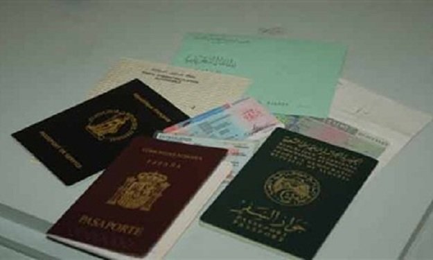1704 مصريًا يحصلون على جنسيات أجنبية في عام 2013