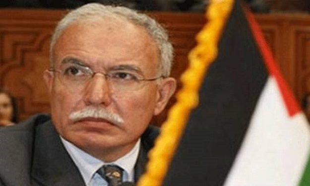 سفير مصر لدى فلسطين: قوة الفلسطينيين الحقيقية تنبع