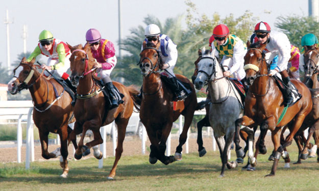 الإمارات تواصل جولاتها حول العالم لحماية الخيول ال