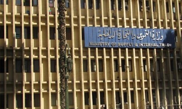 مصر تعلن تعاقدها على شراء 235 ألف طن قمح من 3 دول