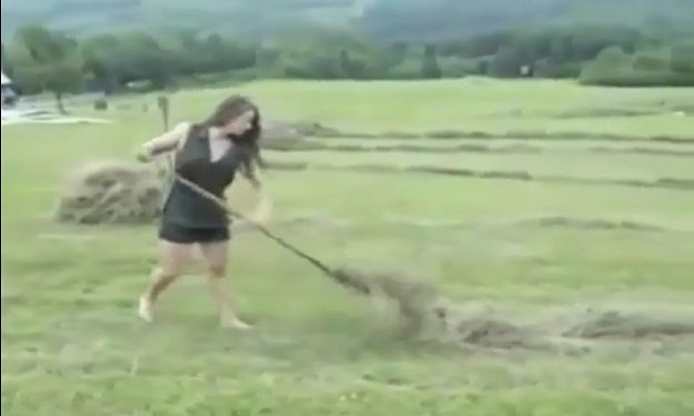 بالفيديو.. فتاة كادحة تحصد محصول أرض زراعية بمفرده