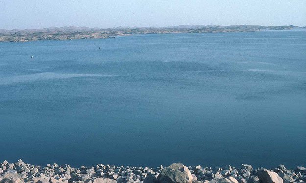 ''الثروة السمكية'': 300 طن بلطي زيادة في بحيرة ناص