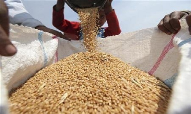 مصر تشتري 175 ألف طن من القمح الروسي والروماني