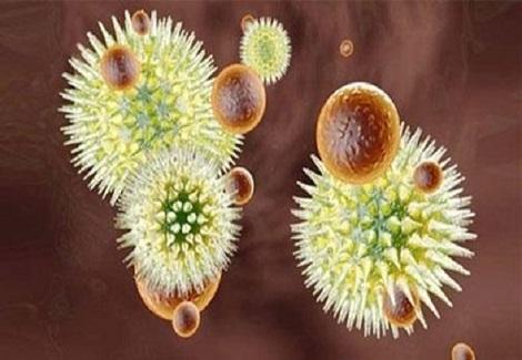فيروس الايبولا