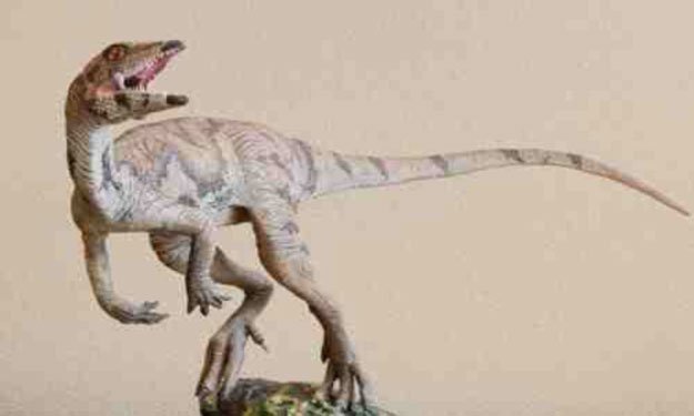 اكتشاف ديناصور بحجم ديك رومي
