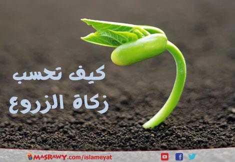 هل تحسب زكاة الزروع على الحصاد فقط ام بعد خصم المص