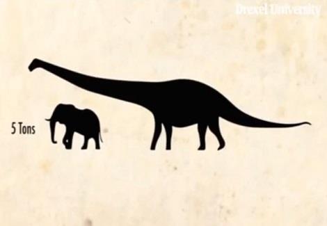 الكشف عن أضخم الديناصورات