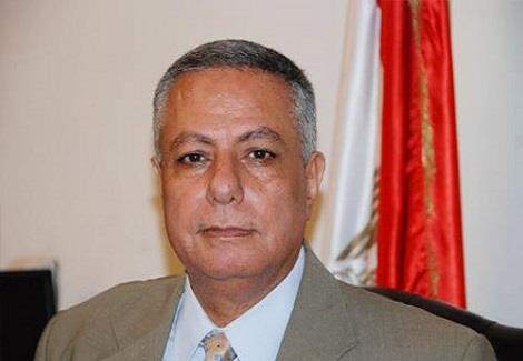 الدكتور محمود أبو النصر