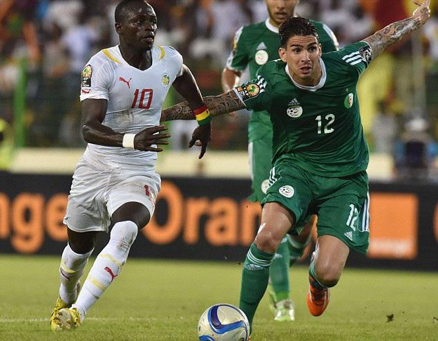 مباراة الجزائر والسنغال                           