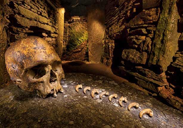 العثور على عظام حيوان يرجع تاريخه إلى العصر الحجري