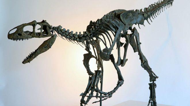 عاصرت الكائنات المكتشفة فترة انقراض الديناصورات، و