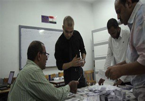 جانب من تصويت المصريين - أرشيفية