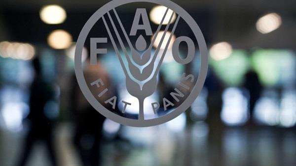 منظمة الأمم المتحدة للأغذية والزراعة (فاو)