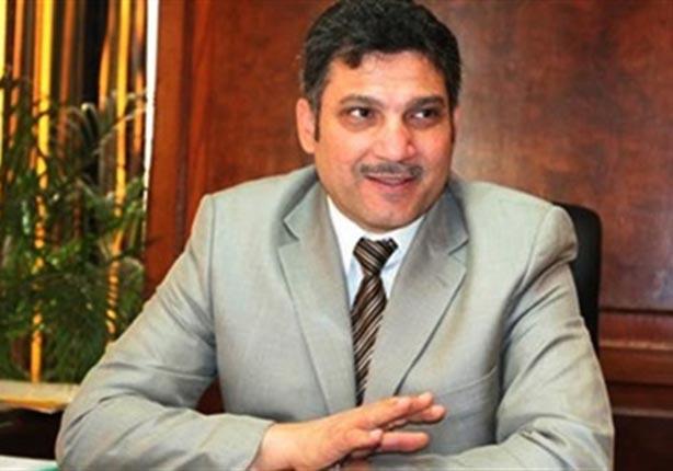 الدكتور حسام مغازي وزير الموارد والري