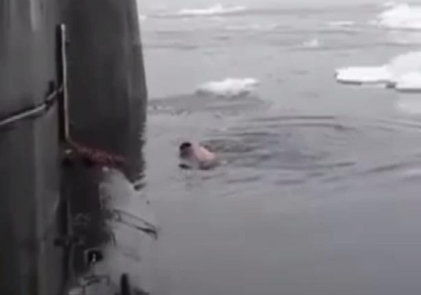ضباط الغواصات الروسية يسبحون في المياه المتجمدة