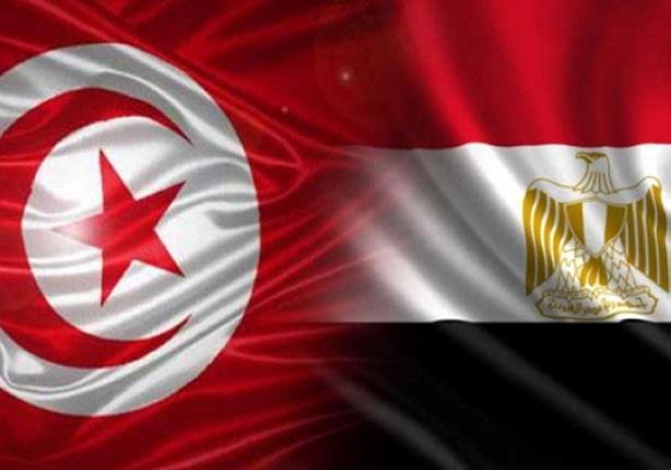 تونس: نتفهم طلب مصر التدخل العسكري في ليبيا