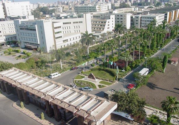  جامعة المنصورة 