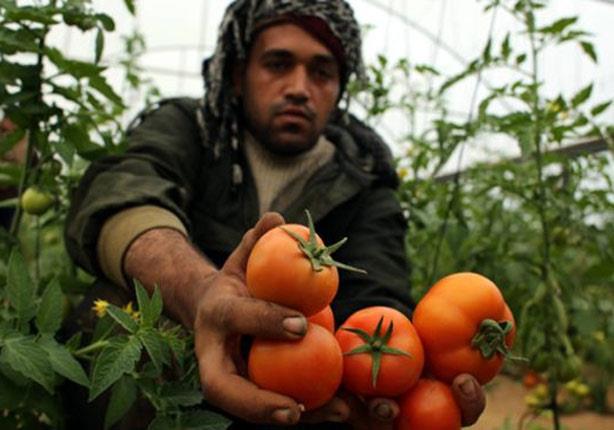  رحب الفلسطينيون بالخطوة الاسرائيلية الأخيرة 