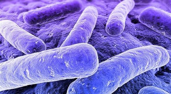 الإدارة الأمريكية تضع خطة للقضاء على البكتيريا الم
