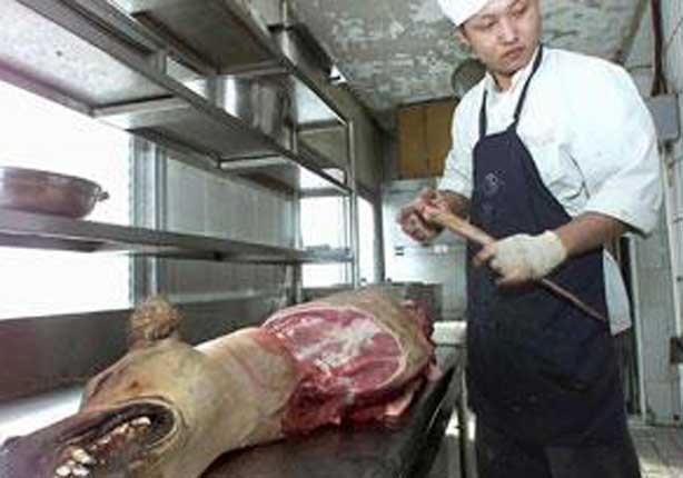 احدي المطاعم الصينية التي تقدم لحم الكلاب
