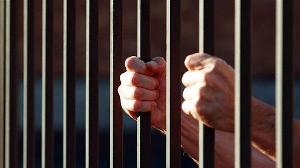 حبس مسجل خطر ووالدته لإهانتهما قوة شرطة بكفر الشيخ