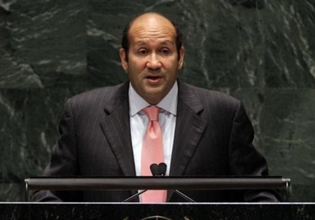 السفير هشام بدر رئيس الوفد المصري