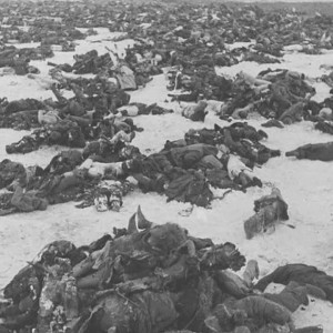 فيديو معركة ستالينجراد . الخسائر البشرية بلغت حوال