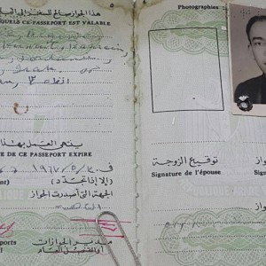 جواز سفر اسماعيل ياسين