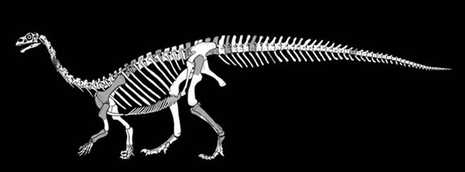 العلماء يعلنون اكتشاف ديناصور جديد