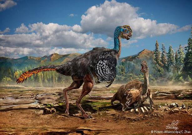 أحفورية ديناصور مجنح تثير استغراب العلماء