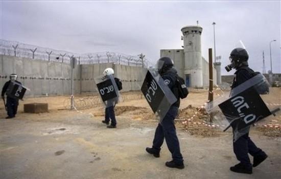 سجن النقب الإسرائيلي                              