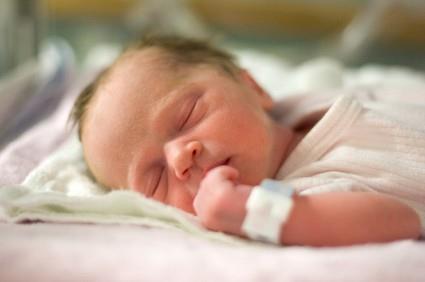 2.7 مليون مولود حي في عام 2014