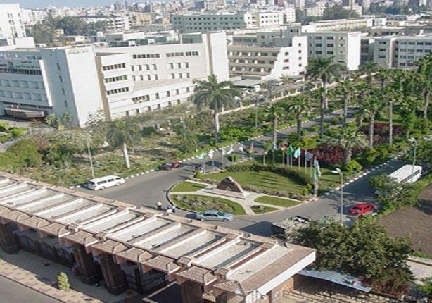 جامعة المنصورة