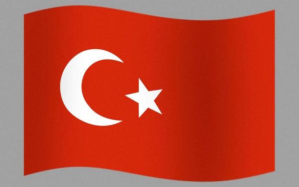 تركيا تفرج عن صحافيين بريطانيين بأمر قضائي