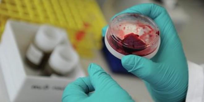 الإمارات تعلن تسجيل حالة إصابة جديدة بفيروس كورونا