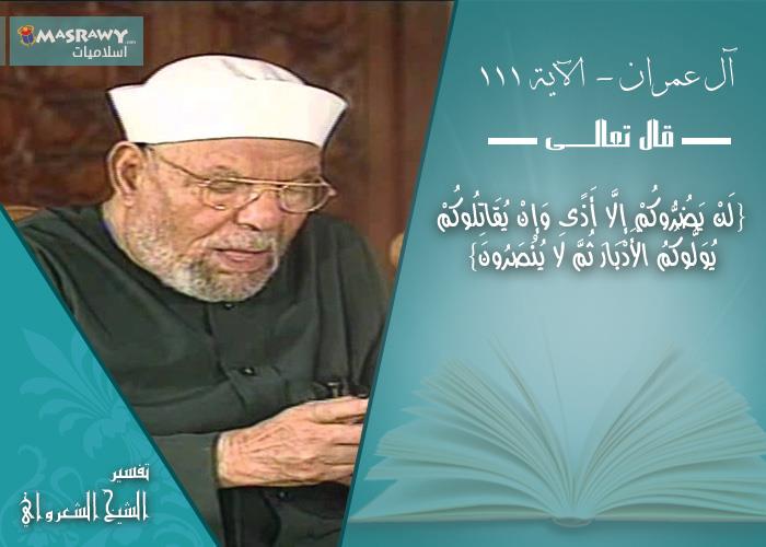 تفسير الشيخ الشعراوي لدعم الله للأقلية من اهل الكت