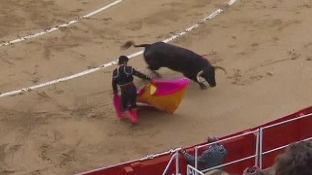 حظر مصارعة الثيران في كتالونيا