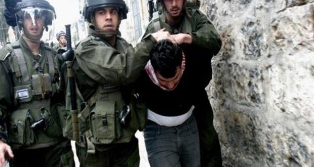 قوات إسرائيلية تعتقل 7 فلسطينيين