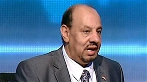 ولاء مرسي المتحدث باسم اتحاد المصريين في الخارج
