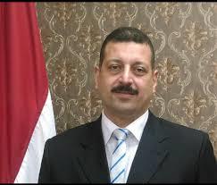 الدكتور أيمن حمزة المتحدث باسم وزارة الكهرباء     